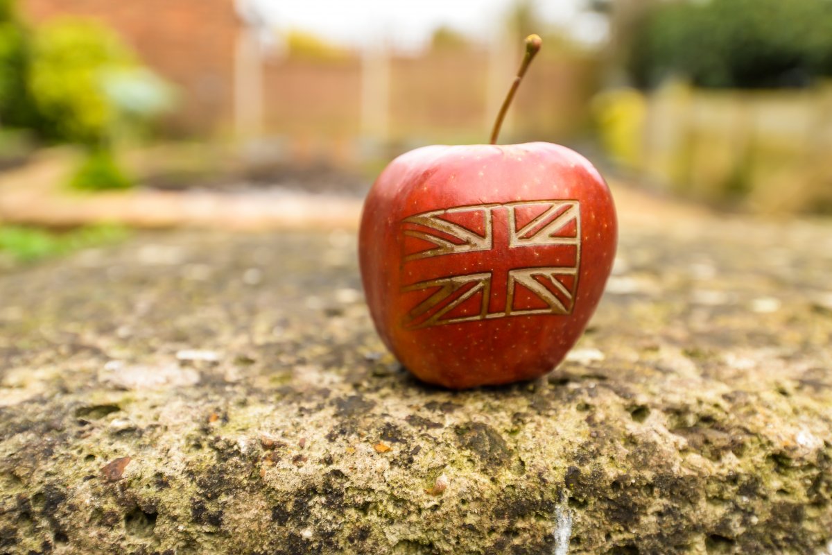 Great Britain: Apple argues against regulation with EU as a negative example